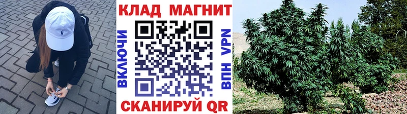 Амфетамин Майкоп