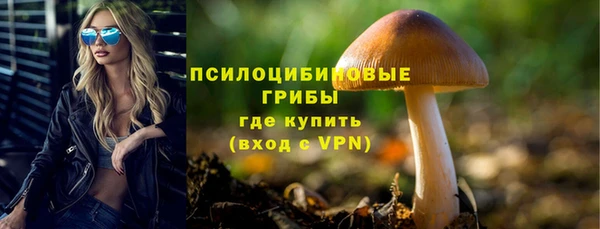 метадон Михайлов