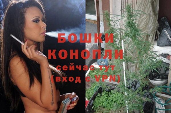 ПСИЛОЦИБИНОВЫЕ ГРИБЫ Михайловка