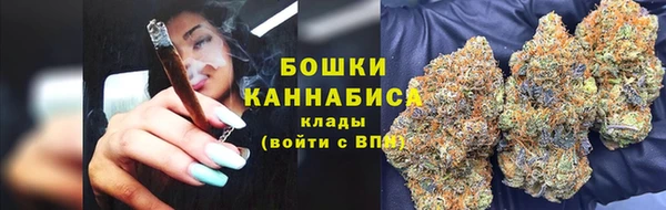 ПСИЛОЦИБИНОВЫЕ ГРИБЫ Михайловка