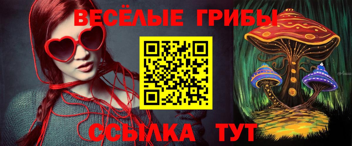 Галлюциногенные грибы мицелий  Вход с VPN  Майкоп  Псилоцибиновые грибы Psilocybe 