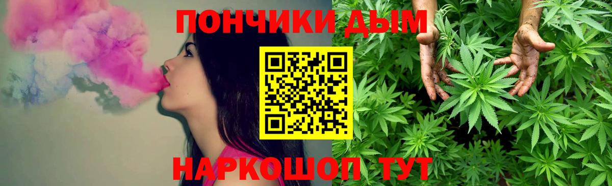 Бошки Шишки семена Майкоп